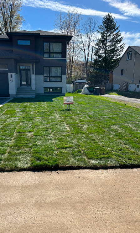 Un gazon en rouleaux pour une pelouse verdoyante et impeccable dès l’installation.