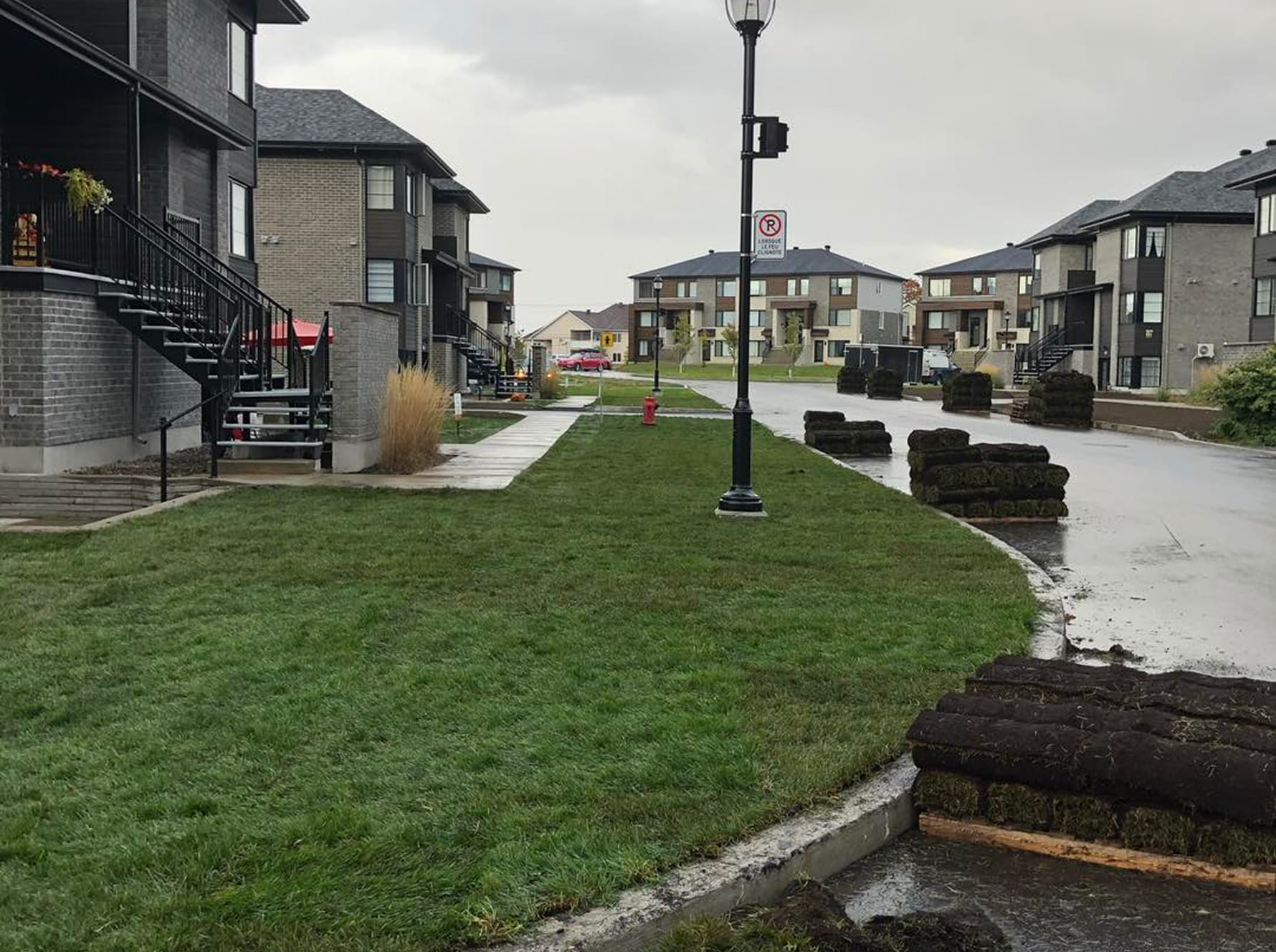Un gazon luxuriant et bien entretenu pour un jardin parfait et accueillant.